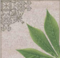 Moroccan (3) - Image 22
