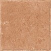 Carol Clay & Earth - Image 4